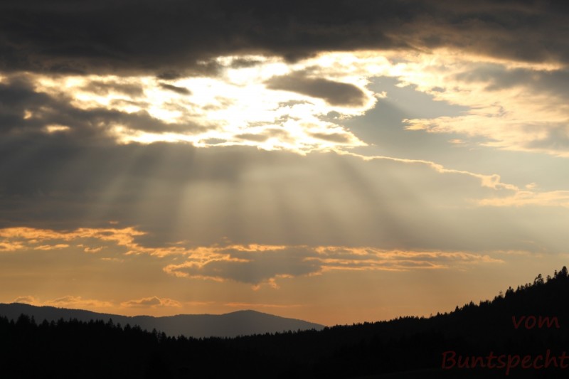 Bildla Nummera 001.jpg