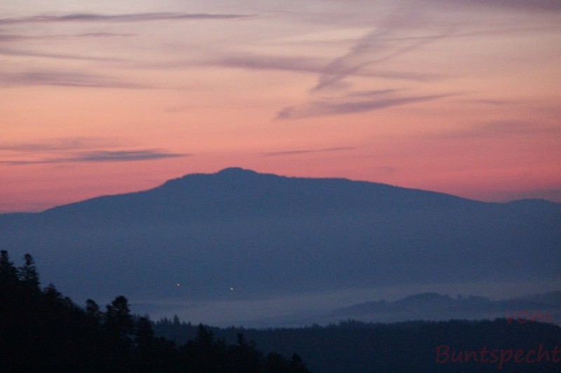 Bildla Nummera 003.jpg