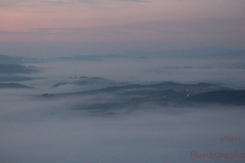 Bildla Nummera 004.jpg