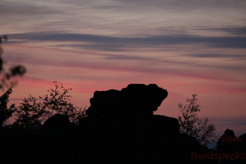 Bildla Nummera 006.jpg