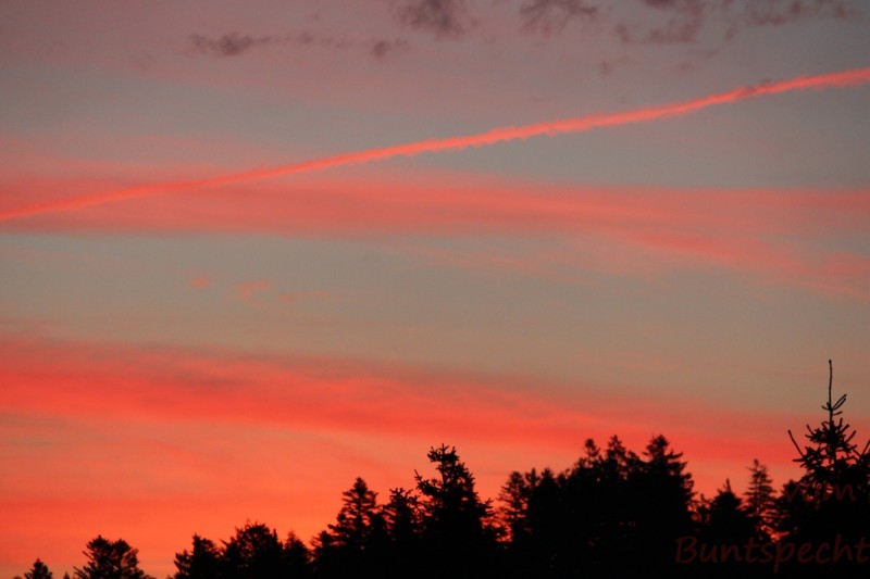 Bildla Nummera 007.jpg