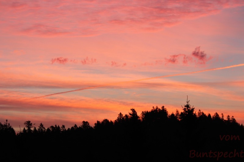 Bildla Nummera 008.jpg