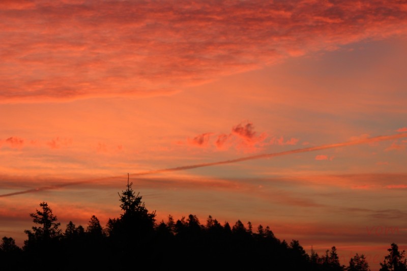 Bildla Nummera 009.jpg