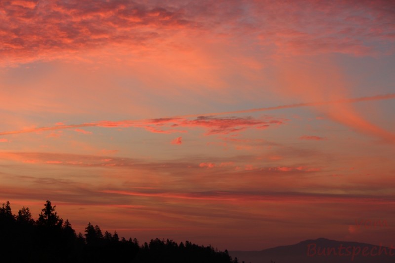 Bildla Nummera 010.jpg