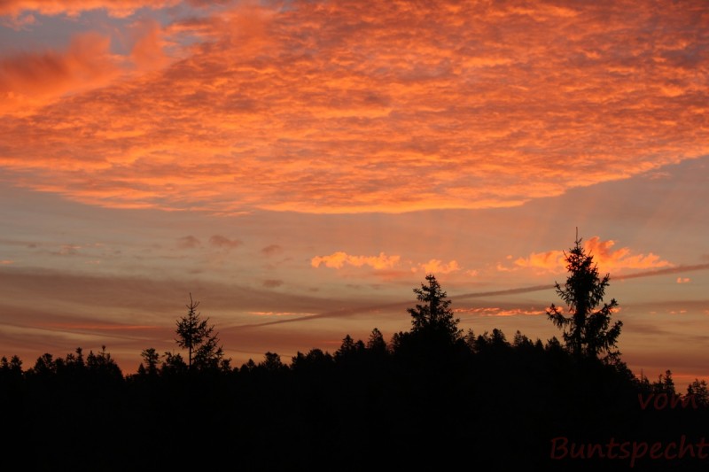 Bildla Nummera 011.jpg