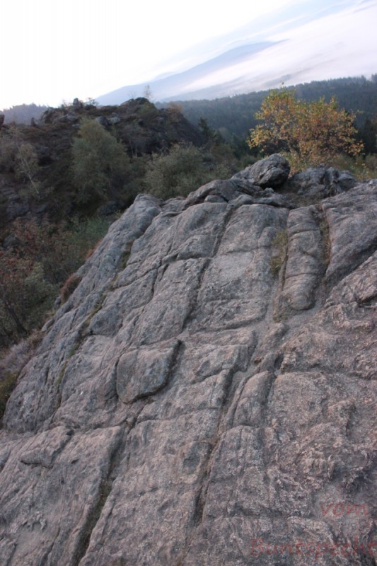 Bildla Nummera 014.jpg