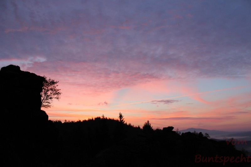 Bildla Nummera 015.jpg