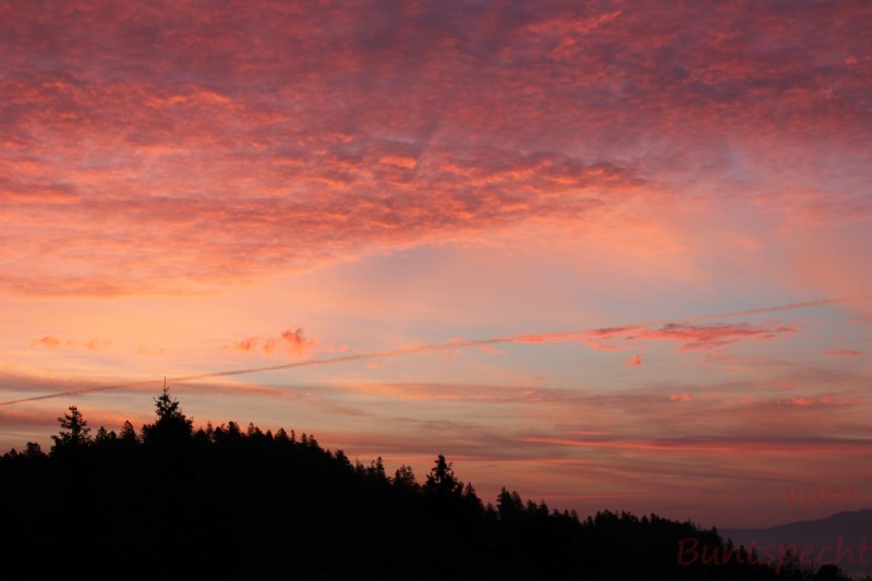 Bildla Nummera 017.jpg