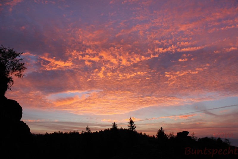 Bildla Nummera 018.jpg