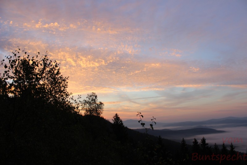 Bildla Nummera 019.jpg