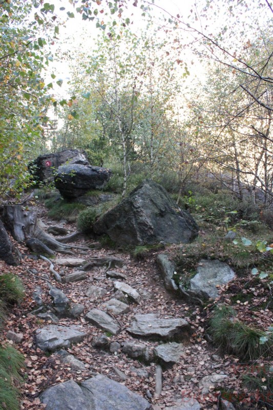 Bildla Nummera 020.jpg