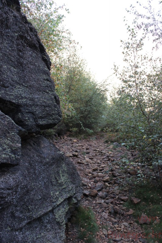 Bildla Nummera 021.jpg