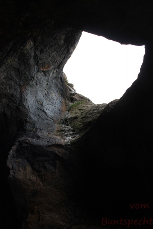 Bildla Nummera 026.jpg