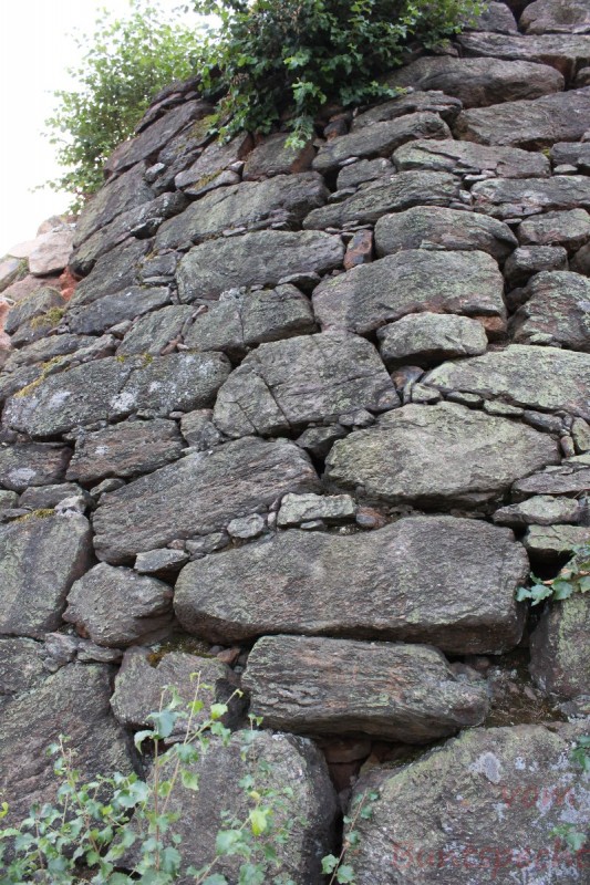 Bildla Nummera 028.jpg