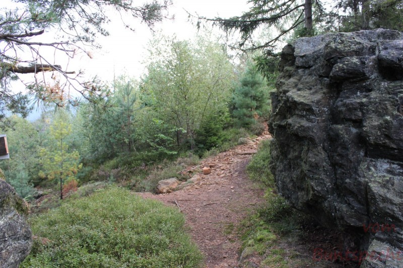 Bildla Nummera 029.jpg