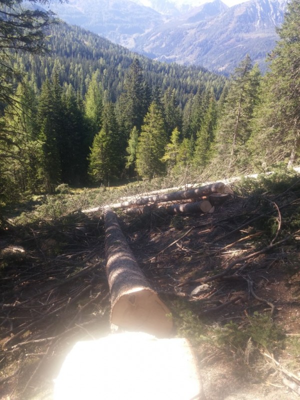 2016-09-30 11.29.11 (Medium).jpg