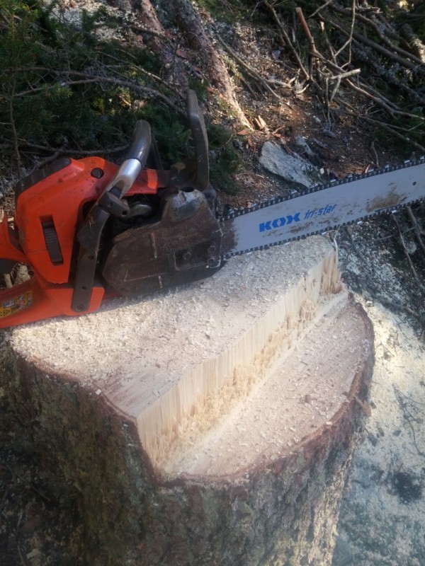 2016-09-30 11.30.24 (Medium).jpg