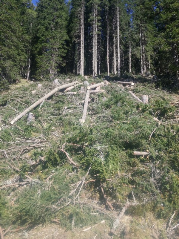 2016-09-30 11.48.23 (Medium).jpg