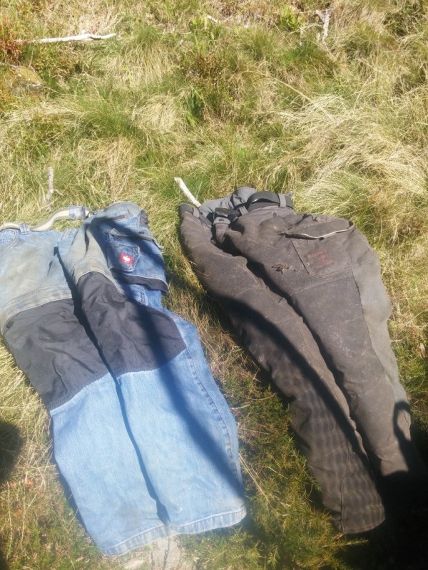 2016-09-30 11.52.11 (Medium).jpg