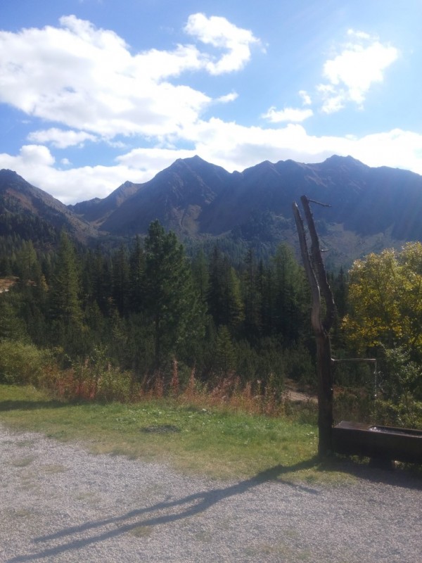 2016-09-30 13.31.29 (Medium).jpg