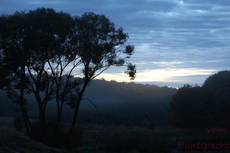 Bildla Nummera 001.jpg