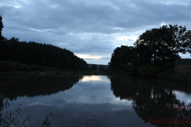 Bildla Nummera 002.jpg