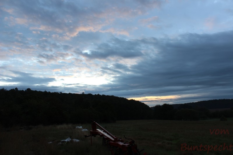 Bildla Nummera 003.jpg