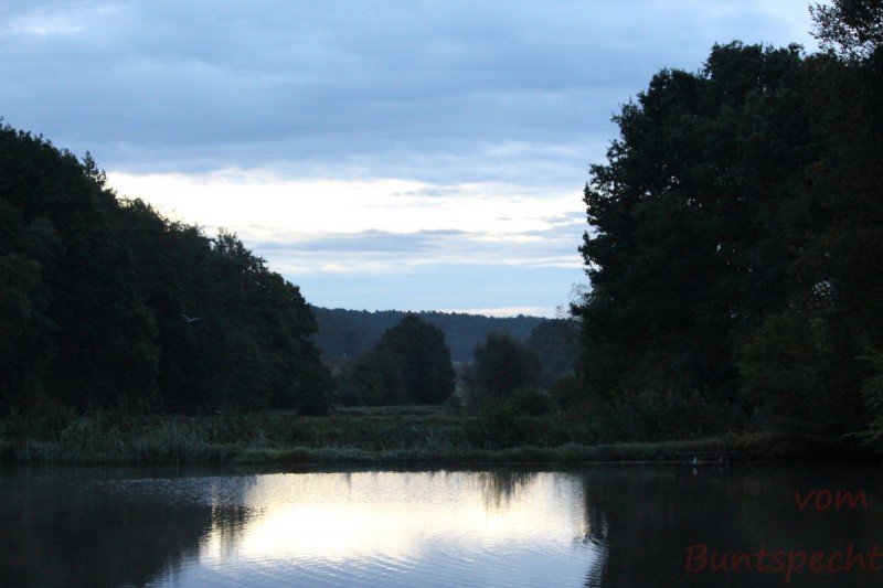 Bildla Nummera 005.jpg