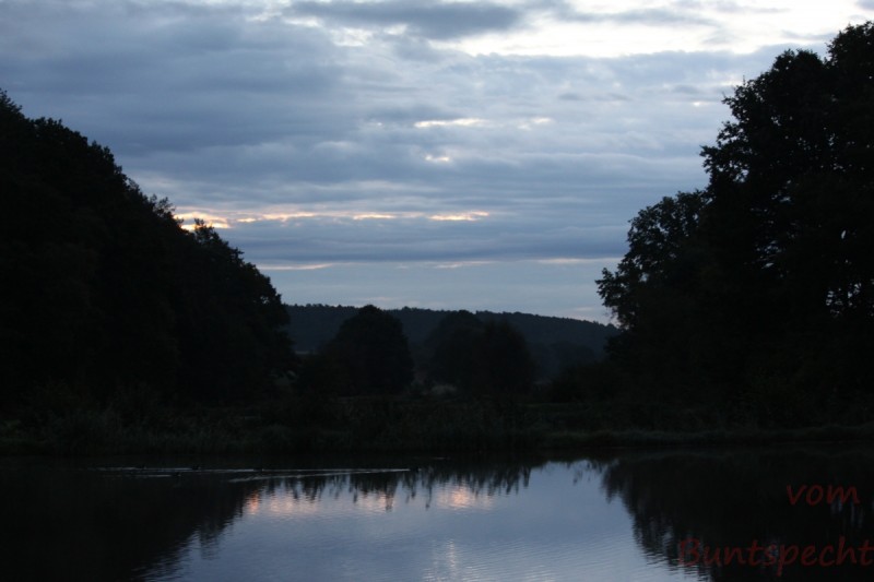 Bildla Nummera 006.jpg