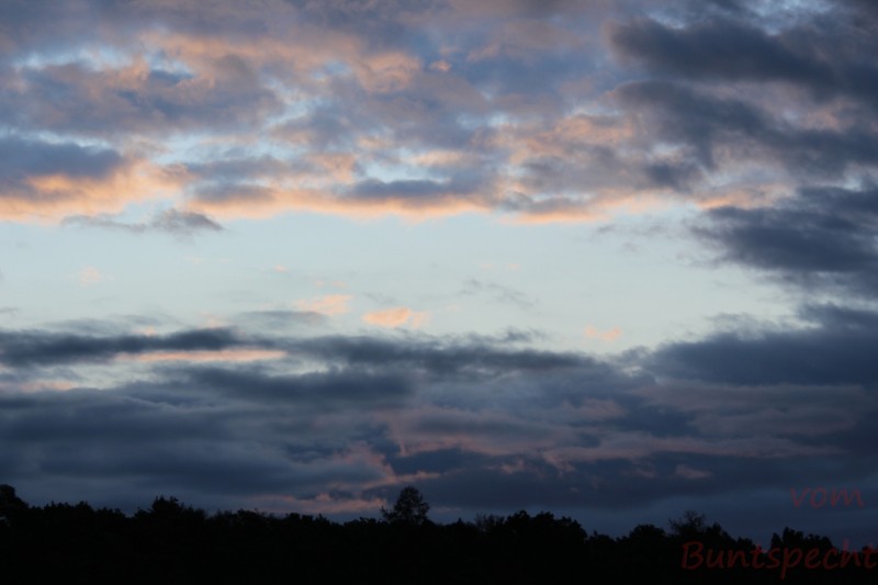 Bildla Nummera 007.jpg