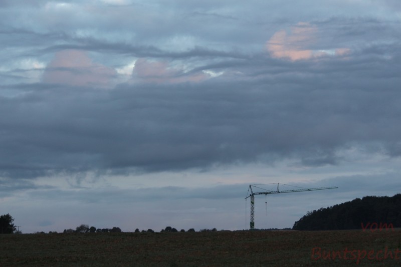 Bildla Nummera 008.jpg