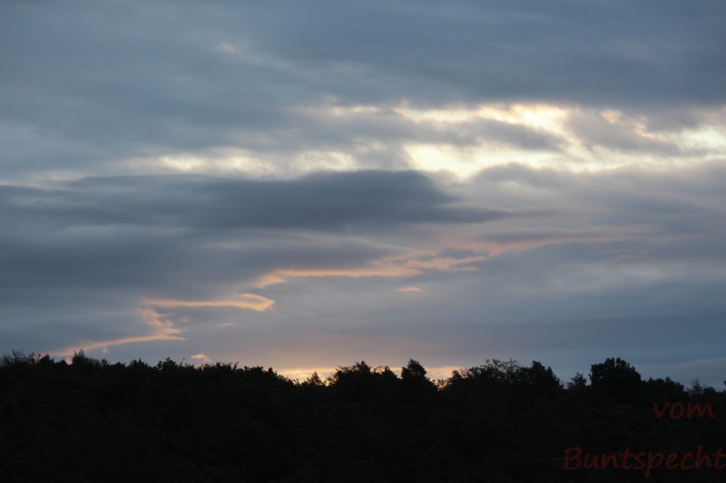 Bildla Nummera 009.jpg