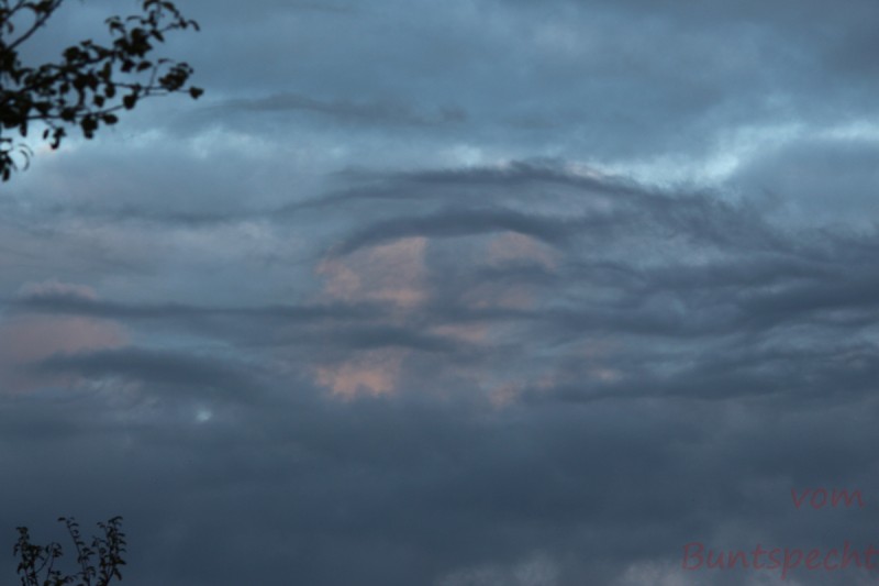 Bildla Nummera 010.jpg