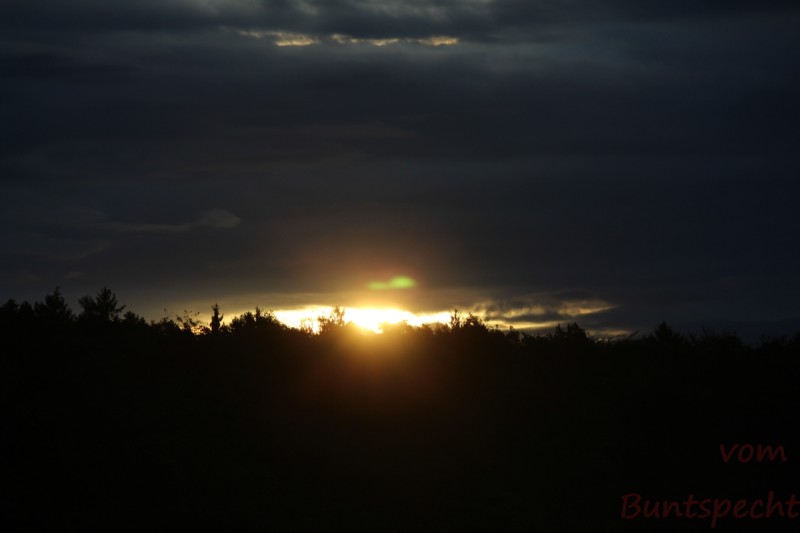 Bildla Nummera 011.jpg