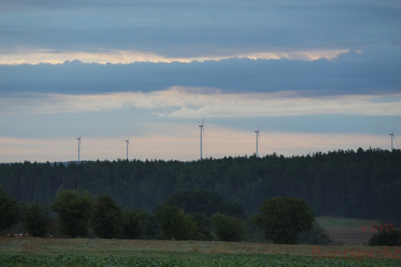 Bildla Nummera 012.jpg