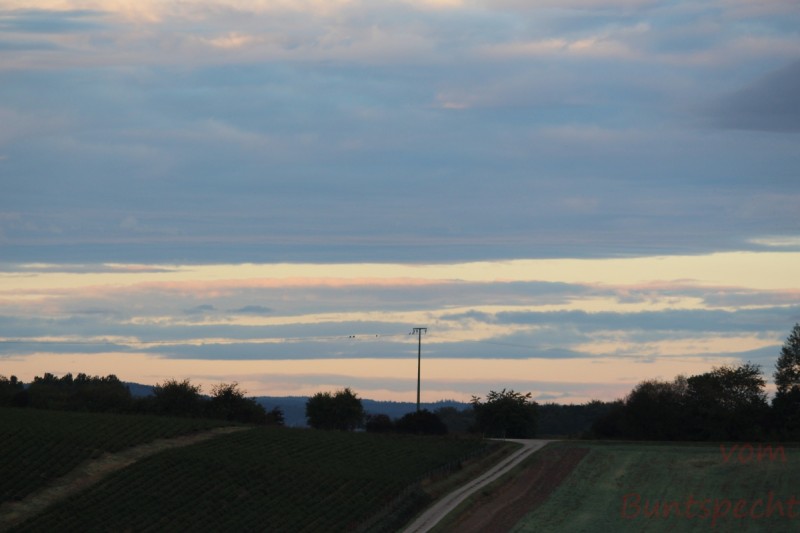 Bildla Nummera 013.jpg