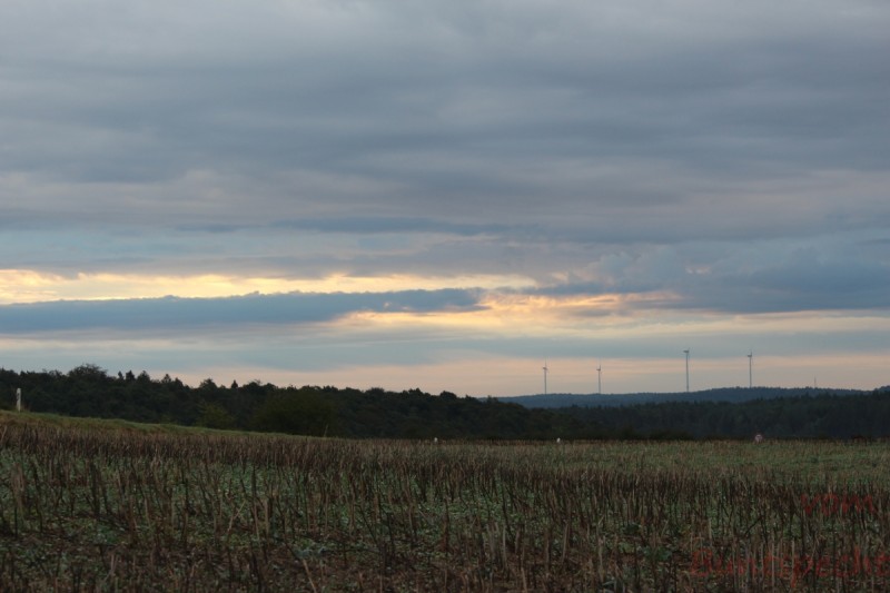 Bildla Nummera 014.jpg