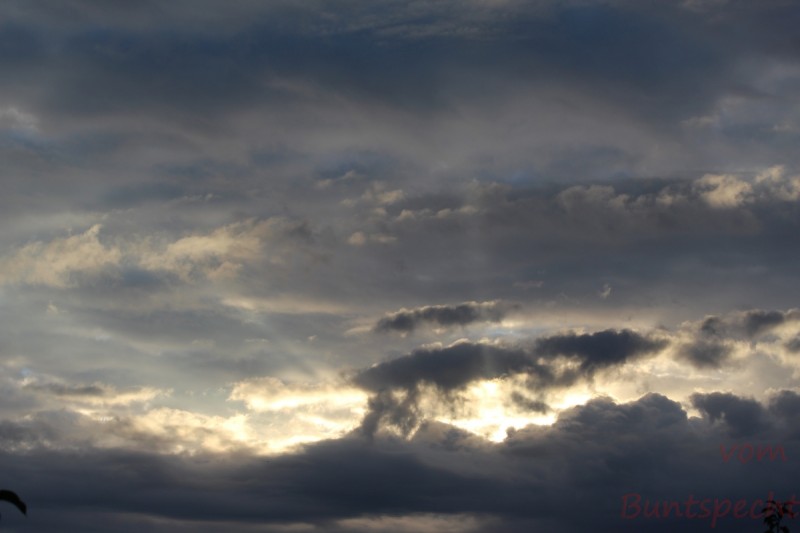 Bildla Nummera 015.jpg