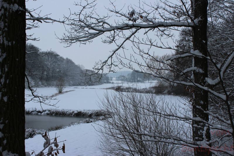 Bildla Nummera 001.jpg