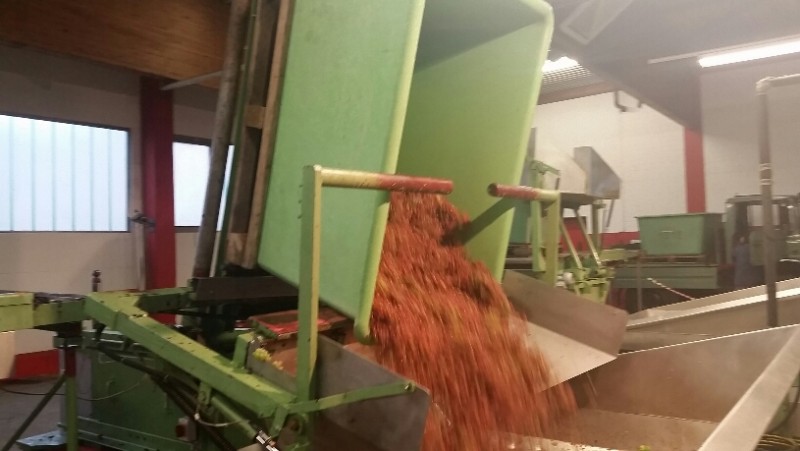 2016-10-04 18.29.09.jpg