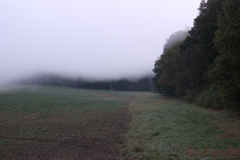 Bildla Nummera 001.jpg