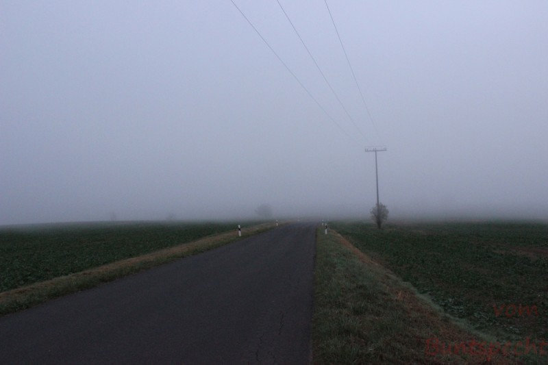 Bildla Nummera 002.jpg