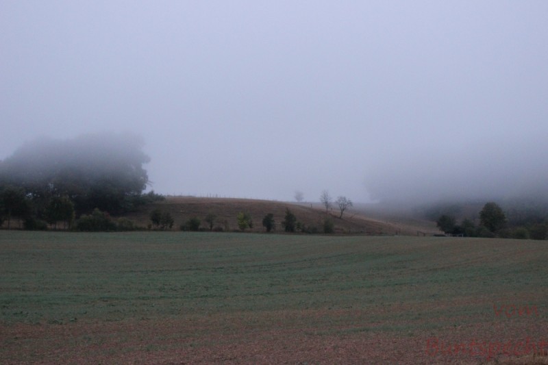 Bildla Nummera 004.jpg