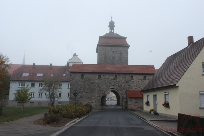 Bildla Nummera 005.jpg