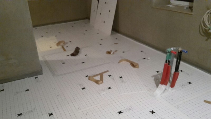 2016-11-13 17.03.21.jpg