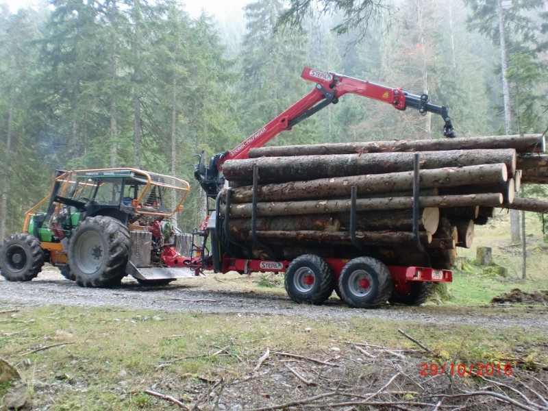 CIMG2145 (1280x960).jpg