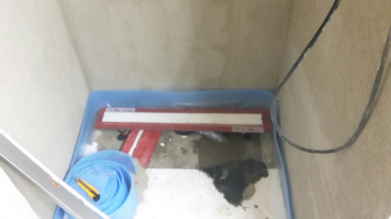 2016-12-04 16.33.38.jpg