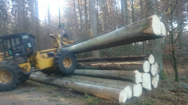 Skidder am Poltern2.jpg