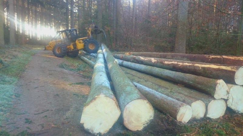 Skidder am poltern.jpg