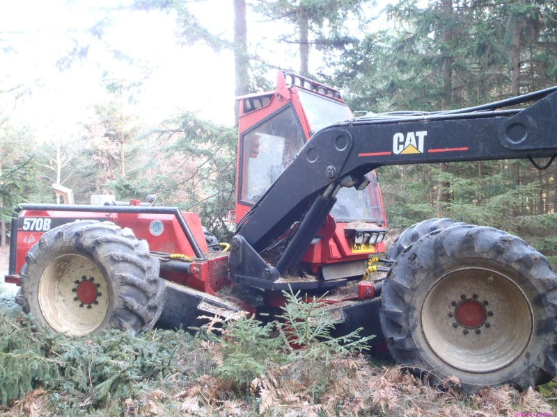 CAT_570B_PC180319_100.JPG